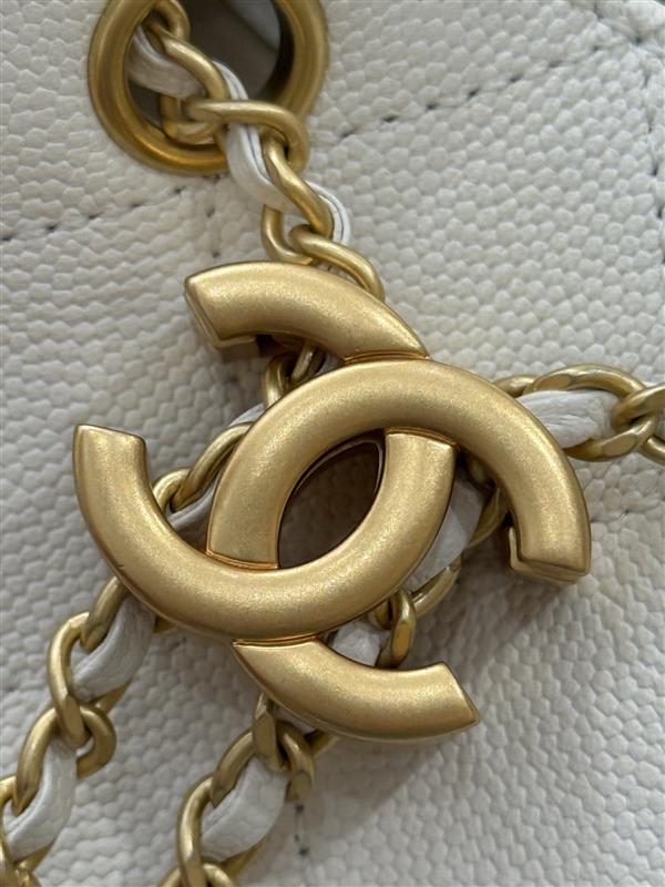 2026131204545216 850